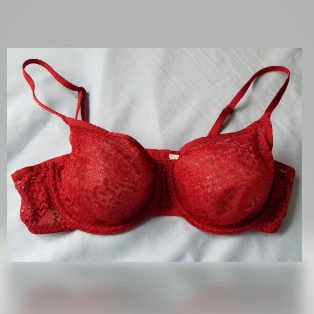 NWOT DKNY Modern Lace Mesh Lined Demi Bra 32C